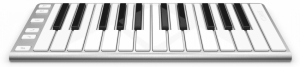 CME Xkey 25