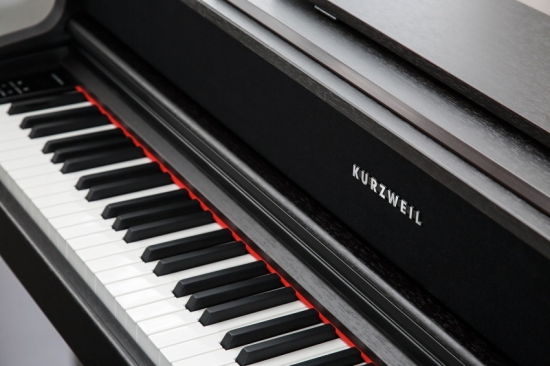 Kurzweil CUP410 SR