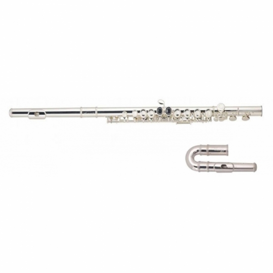 ARMSTRONG FL-650E2