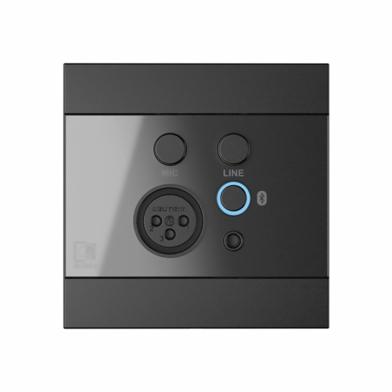Панель управления AUDAC WP225/B