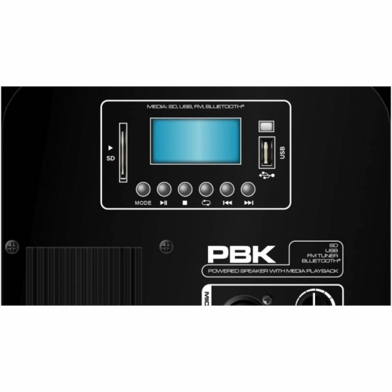 PEAVEY PBK 12PB