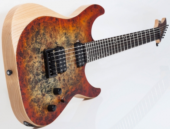 Электрогитара SCHECTER REAPER-6 INFERNO BURST