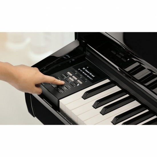 KAWAI DG30 EP