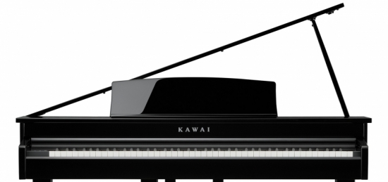 KAWAI DG30 EP