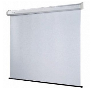 Экран для проектора Draper VScreen AV (1:1) 96/96" 244*244 XT1000E (MW)