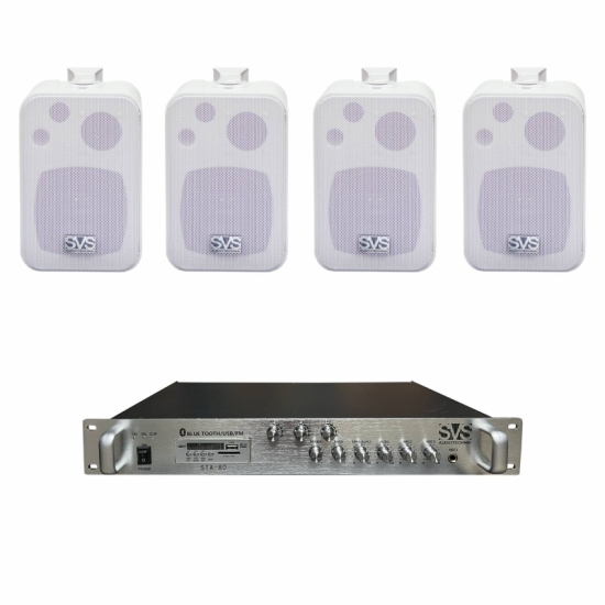 Комплект звука для бара ФОНОВЫЙ SVS LITE 2W