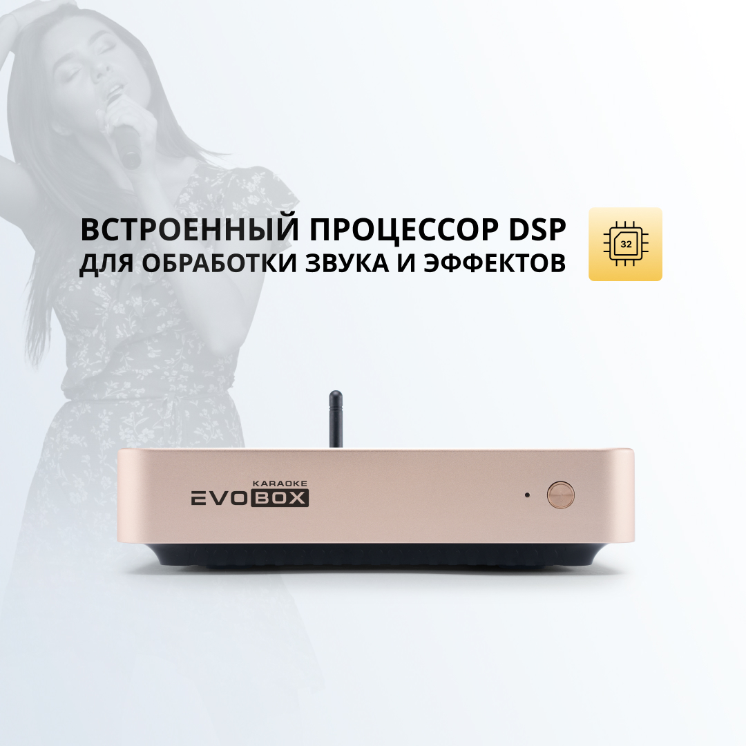 Evolution Evobox Plus Gold - 45000 фонограмм, беспроводные микрофоны,  расширенная гарантия,