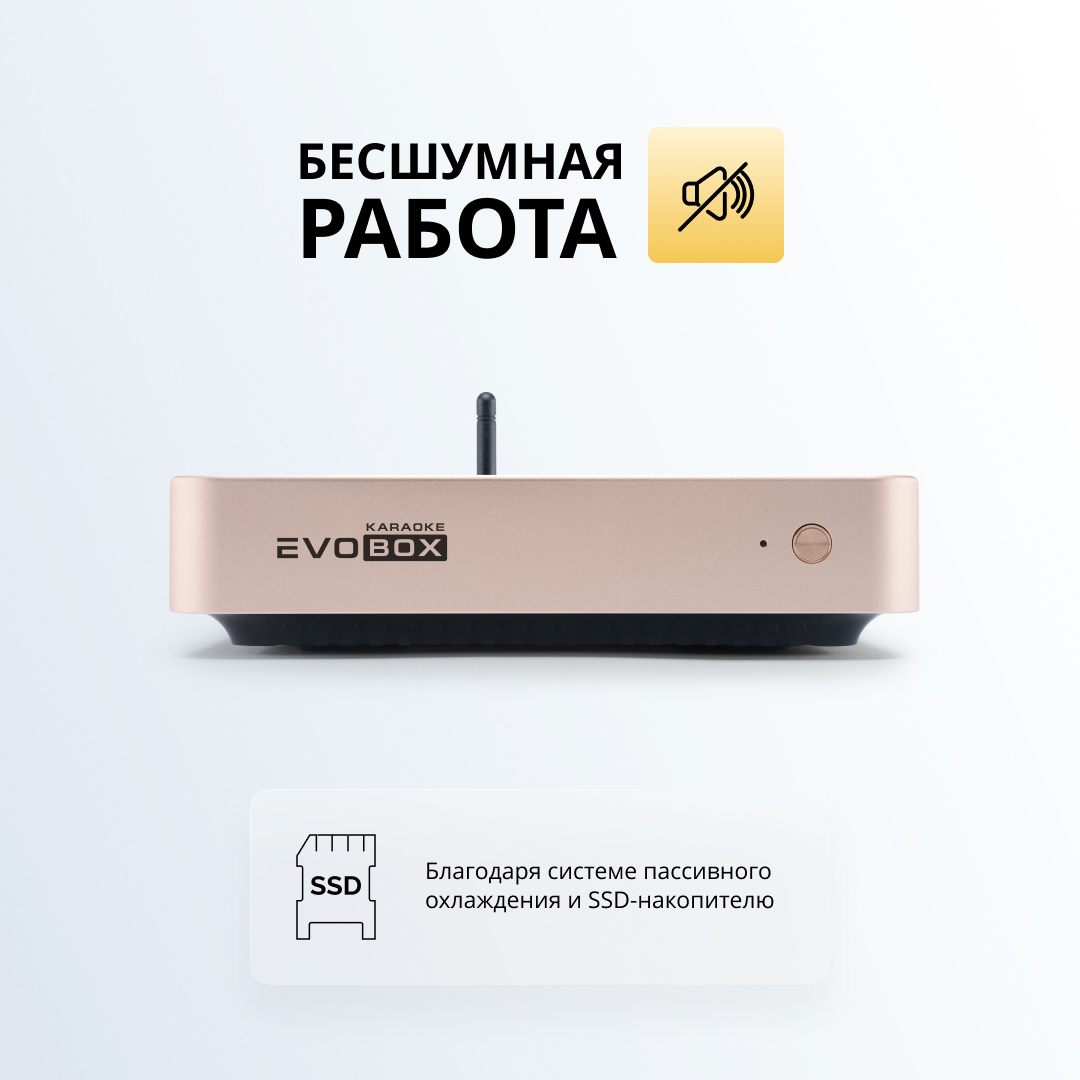 Evolution Evobox Plus Gold - 45000 фонограмм, беспроводные микрофоны,  расширенная гарантия,